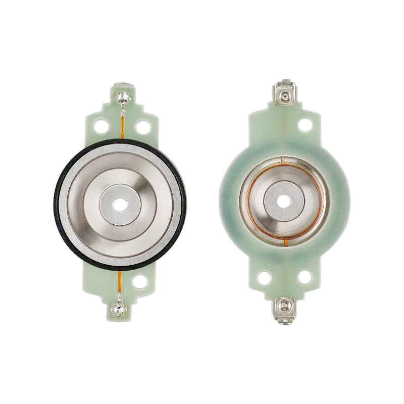 Còi Xe Cho Tiên Phong Super Tw - đánh giá và giá Diy Audio Electronics Kit