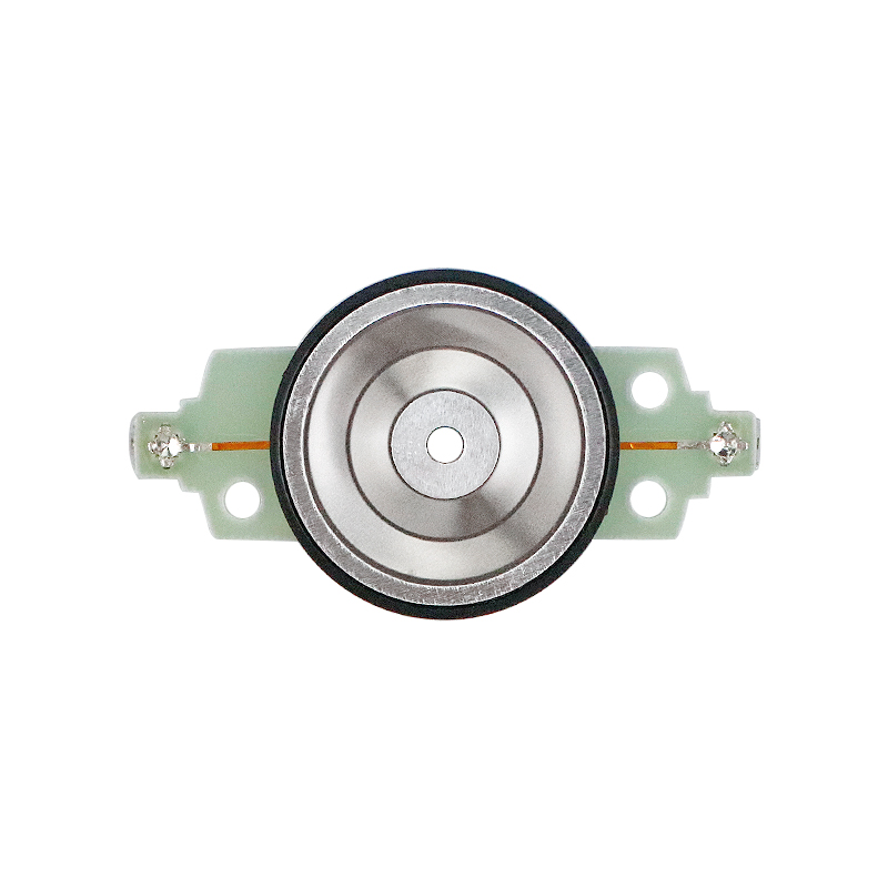 Còi Xe Cho Tiên Phong Super Tw - đánh giá và giá Diy Audio Electronics Kit